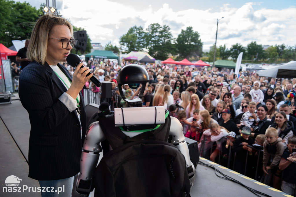 Festiwal Trójwsi - 2026