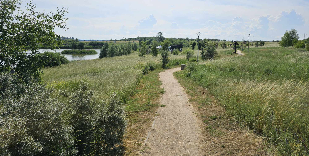 Park Brzozowy w Skowarczu - warto wybrać się tam na spacer! [ZDJĘCIA]
