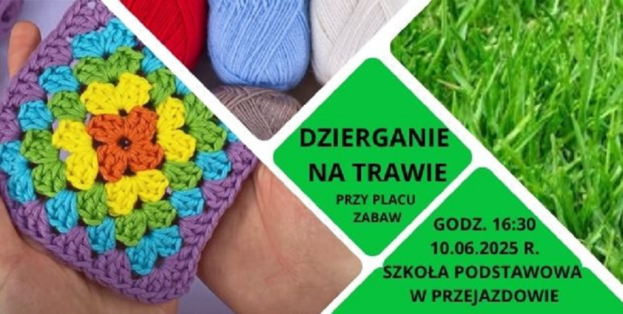 Grafika organizatora