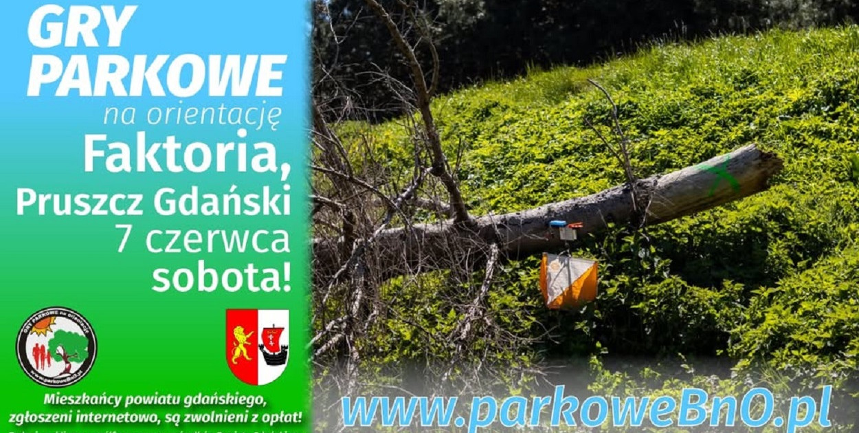Grafika organizatora