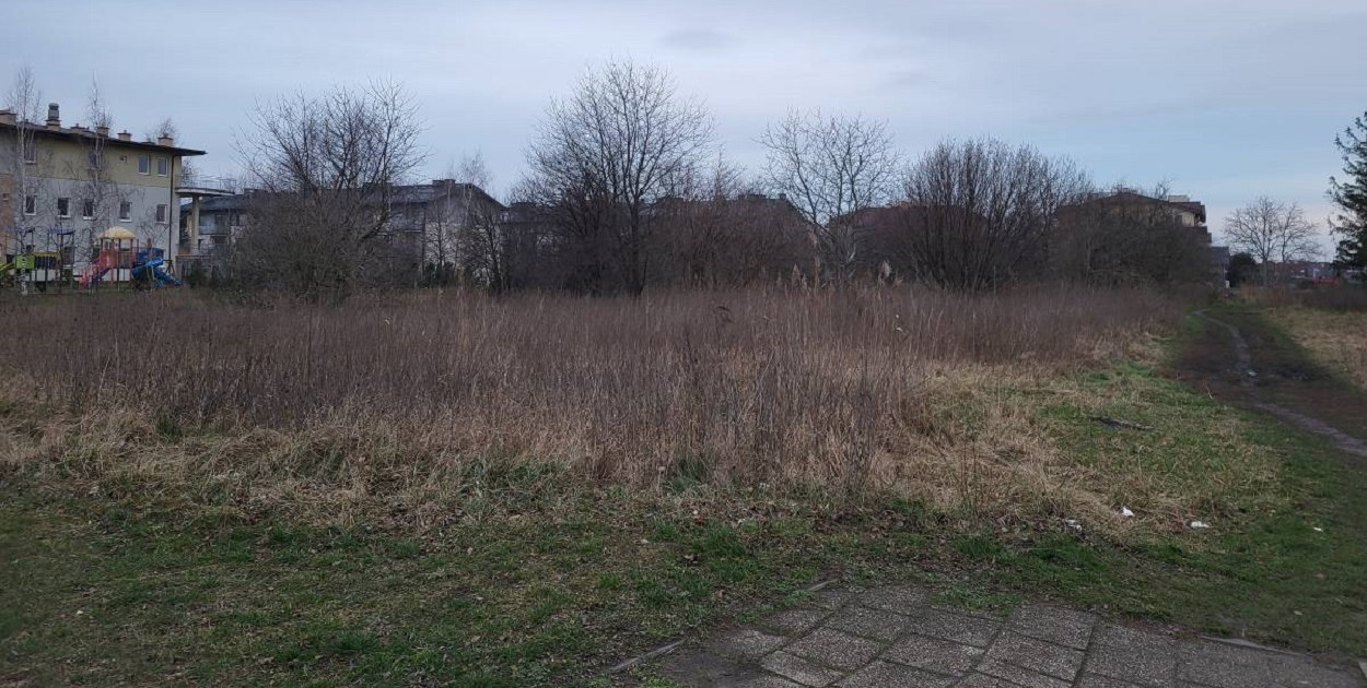 UM Pruszcz Gdański