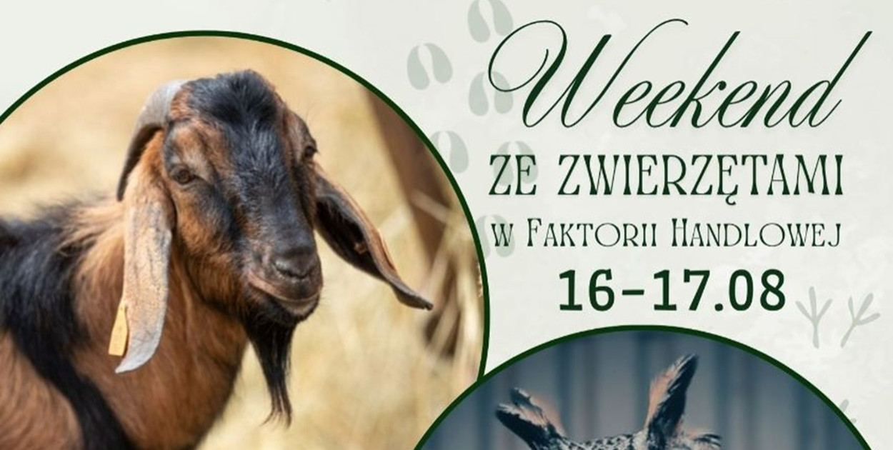 UM Pruszcz Gdański