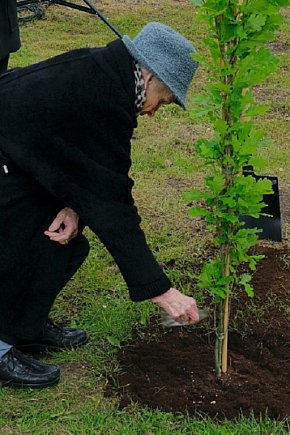 W Kiezmarku posadzono Dąb Pamięci ku czci ofiar Zbrodni Katyńskiej-1074
