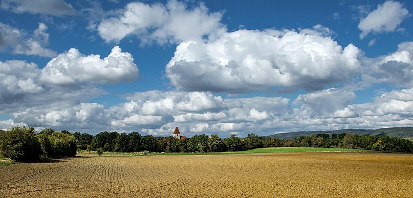 Władimirec T25 - niezawodna klasyka