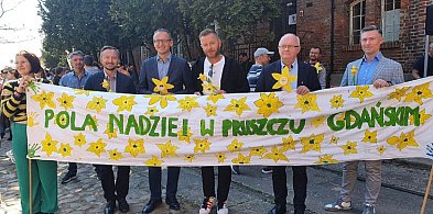 Żonkilowa parada przejdzie ulicami Pruszcza. Zapraszamy na finał "Pól Nadziei"-18686