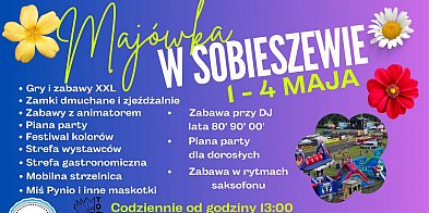 Zapraszamy na majówkę z Mobil Fun w Sobieszewie-18744