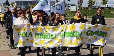 Pruszcz Gdański miastem nadziei. Żonkilowa parada przeszła ulicami miasta-18828