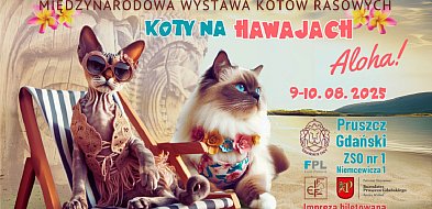 Międzynarodowa Wystawa Kotów Rasowych w Pruszczu Gdańskim-20525