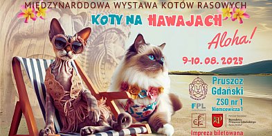 Międzynarodowa Wystawa Kotów Rasowych w Pruszczu-20525