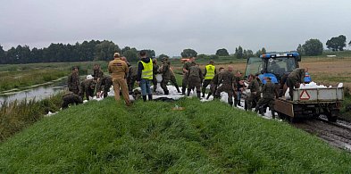 Nieustanna walka z wodą – mieszkańcy i służby wzmacniają wały rzeki Bielawa-20652