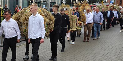 Cedry Wielkie – Dożynki - święto plonów i tradycji-20991