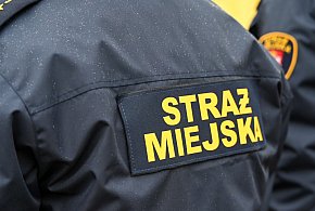 Zapuka strażnik, zapłacisz karę. Ruszyły kontrole w całej Polsce-21906
