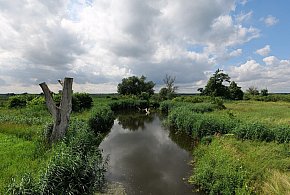 Co dalej z nowym parkiem narodowym? Minister klimatu zdradza plan po wecie-22632