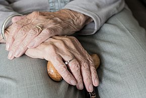 Te osoby dostaną dwie emerytury w grudniu. ZUS przesuwa przelewy-22934