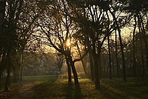 Nadchodzi najkrótszy dzień w 2025 roku. Sprawdź, kiedy przypadnie-23547