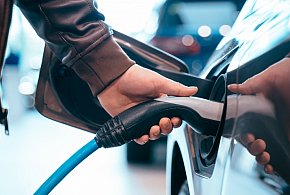 Coraz częściej dochodzi do takich kradzieży. Powody zaskakują-24193