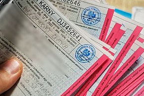 Pruszcz Gdański: 18 mandatów dla kierowcy ciężarówki podczas jeden kontroli