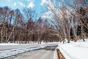 Gmina Pruszcz Gdański: Samochód w rowie w Lędowie – pomógł żołnierz 7 PBOT