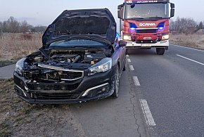 Gm. Cedry Wielkie: Samochód zderzył się z sarną w Cedrach Małych