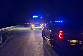 Samochód zderzył się z sarną. Akcja służb w Cedrach Małych