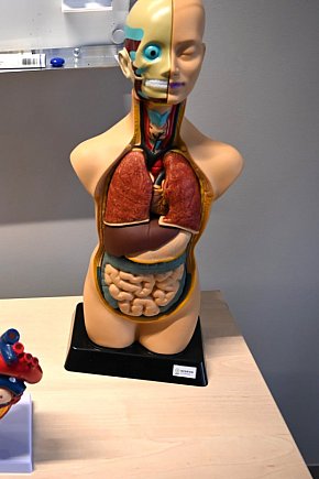 Nowy sprzęt edukacyjny dla szkoły  w Różynach-1476