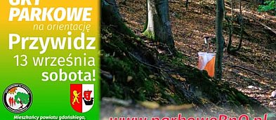 Gry na orientację - Przywidz-713