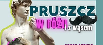„Pruszcz w różu z wąsem”-826