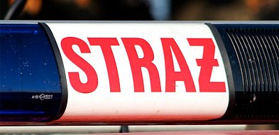 Pomorskie: Przez silny wiatr ok. 8 tys. odbiorców bez prądu