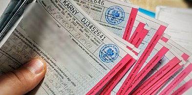 Pruszcz Gdański: 18 mandatów dla kierowcy ciężarówki podczas jeden kontroli