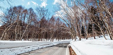 Gmina Pruszcz Gdański: Samochód w rowie w Lędowie – pomógł żołnierz 7 PBOT