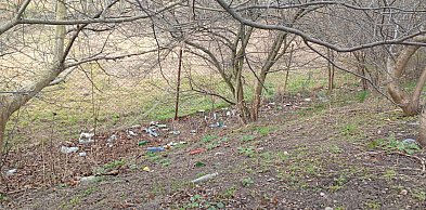 Wiosenne porządki w Pruszczu Gdańskim – harmonogram sprzątania ulic