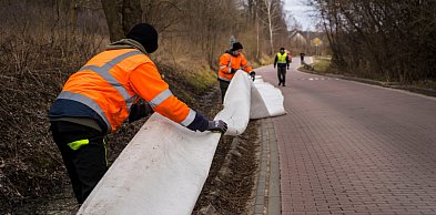 Gmina Pruszcz Gdański: W Juszkowie będzie bezpieczniej... dla płazów