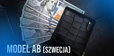 Status prawny Aktiebolag: Dlaczego szwedzka jurysdykcja Monk Limited dominuje nad