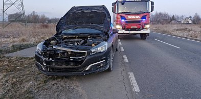 Gm. Cedry Wielkie: Samochód zderzył się z sarną w Cedrach Małych