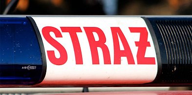 Pomorskie: Przez silny wiatr ok. 8 tys. odbiorców bez prądu