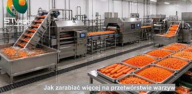 Jak zarabiać więcej na przetwórstwie warzyw i owoców razem ze STvega