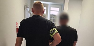 Seria policyjnych zatrzymań w powiecie gdańskim