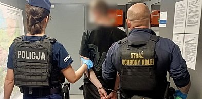Pomorskie: Wspólne działania na kolei. Zatrzymany 18-latek z narkotykami.