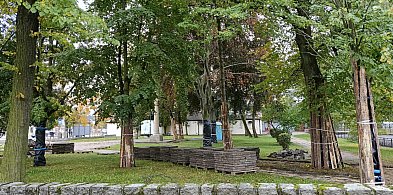 Pruszcz Gdański: Plac Wyzwolenia zyska nowy wygląd jeszcze w tym roku-21789