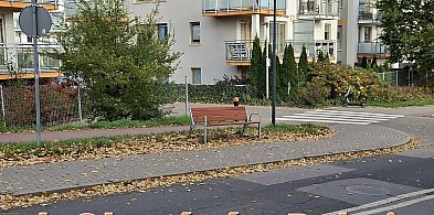 Nowe ławeczki na terenie Pruszcza Gdańskiego-22202