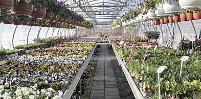 Od 1988 roku tworzą piękne ogrody – Centrum Ogrodnicze Woleccy w Wiślince