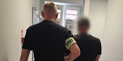Seria policyjnych zatrzymań w powiecie gdańskim