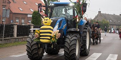 Święto Plonów w Pszczółkach - taki był drugi dzień-21273