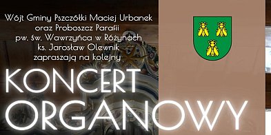 Wybitny organista z Holandii zagra na organach Dalitza-22670