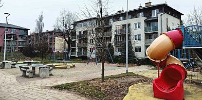 Nowe drzewa, więcej cienia: Pruszcz stawia na zieleń-23079