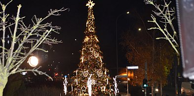 Magia świąt w Pruszczu Gdańskim! Nowa choinka...-23220