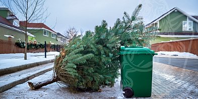 Pruszcz Gdański: W te dni pozbędziesz się choinki-23800