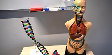 Inwestycja w przyszłość uczniów. Szkoła Podstawowa w...-24166