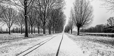Skargi mieszkańców na drogi i chodniki w gm. Cedry...