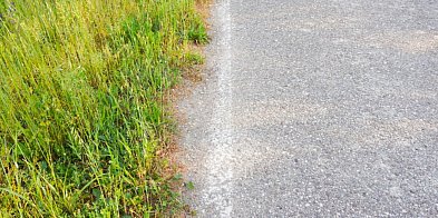 Gmina Suchy Dąb porządkuje zasady korzystania z...